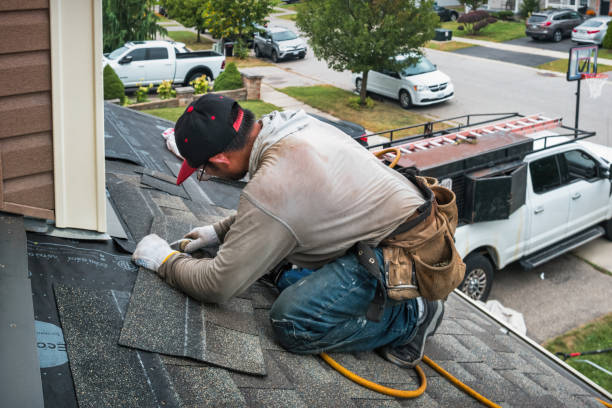 Professional Storm Damage Roof Repair technician working in Oquawka, IL